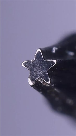 P2 Pentalobe Screwdriver and Screw