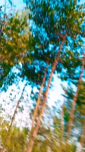 #viralvideochallenge | Manish Kumar