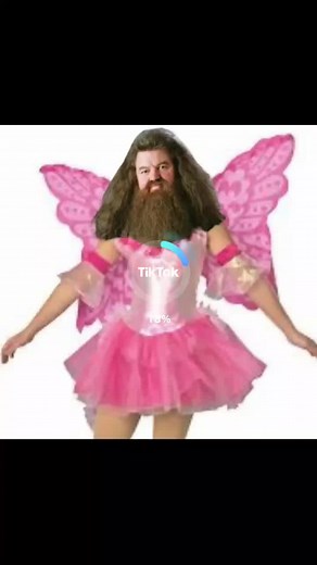 Enchanting Fairy Costume for Kids