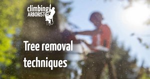 Tree removal techniques : ClimbingArborist.com