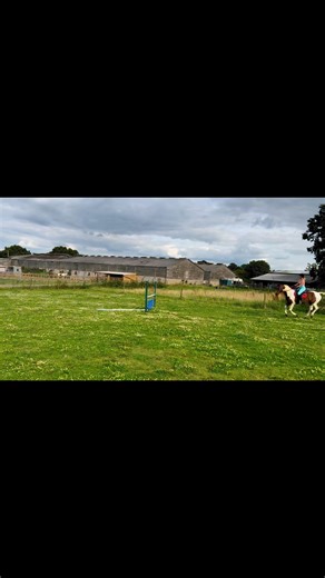 #THUD! 😳 Sometimes mummy likes to check the ground conditions mid-jump... 🧐🤪 #Riding #Equestrian #Fall #Horse #Jumping 🐴 | The Antics of Mr Mo