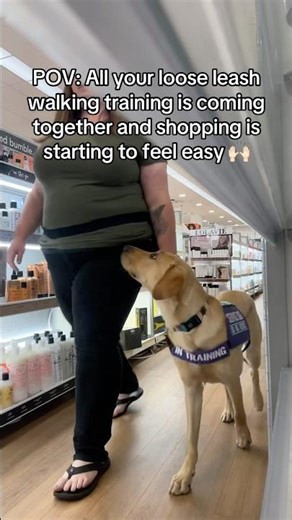 When your service dog training pays off. 🐕‍🦺