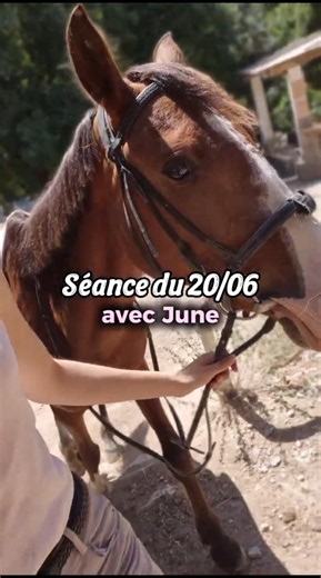 Une séance de saut parfaite avec June ✨ #equitation #cheval #poney #equestrian #cavalière #passion