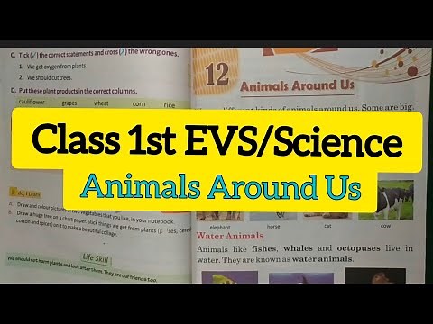 Class 1 EVS Animals Around Us