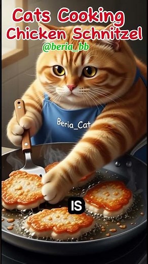 Cats Cooking Chicken Schnitzel #shorts #shortvideo #funny #viral #cat