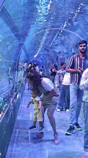 Mickey Wants to Crawl Into the Aquarium Tunnel! 🐟😄 Baby Adventure #baby #youtubeshorts #cutebaby