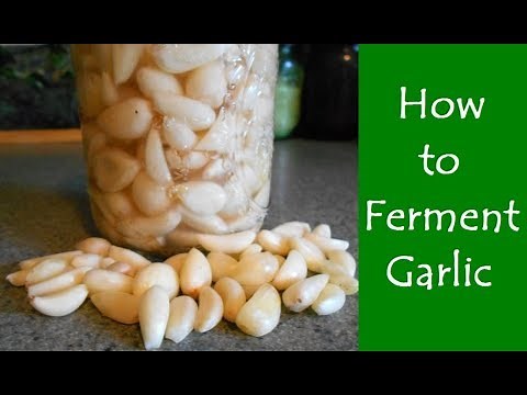 How To Ferment Garlic