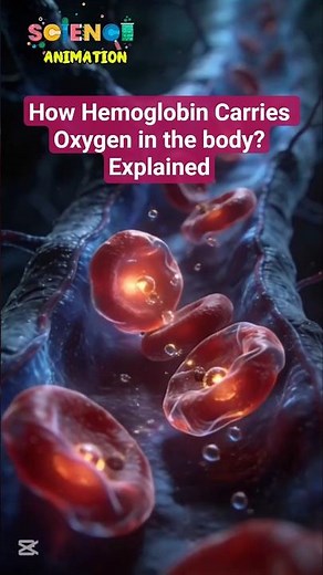 How Hemoglobin Carries Oxygen | Iron’s Vital Role in the Blood #biology #medicalscience
