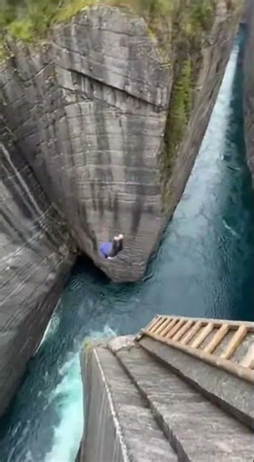 She Jumped Off a Cliff Holding a Dog 😳🐶 Wait for the Splash! #Shorts