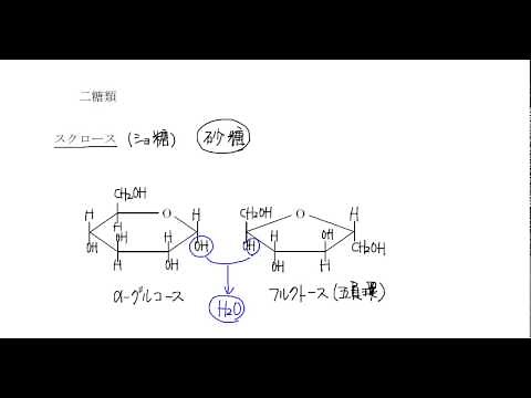｢糖類｣講義８：高校化学解説講義