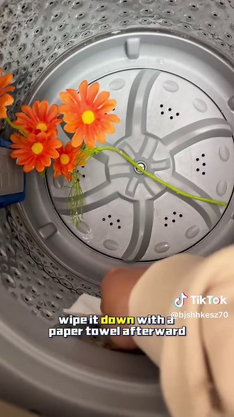 Essential Tips for Clean Washing Machines