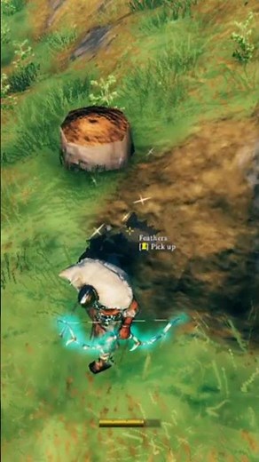 How to effectively farm for feathers - Valheim