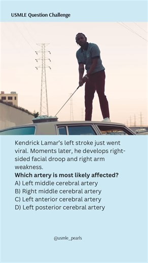 USMLE High-Yield Questions on Instagram: "Bro said left stroke and his brain took it way too literally 😭🧠🔥 ⸻ 🧠 EXPLANATION Right-sided face and arm weakness means a left-sided cortical lesion, because motor fibers cross in the medulla. Left Middle Cerebral Artery • Supplies lateral motor cortex → face + arm • Classic pattern: face/arm weakness > leg • Left side lesion → right-sided deficits This exactly fits Kendrick’s symptoms. Why the others are wrong Right MCA 
