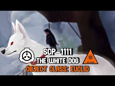 SCP Decoded Reading: SCP-1111 The White Dog