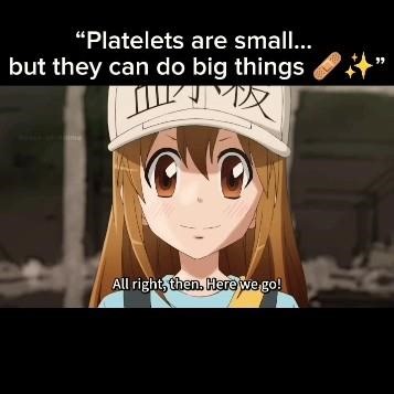 Platelets are tiny cells in our blood that play a big role in healing✨ #anime _Cells at work #kawaii