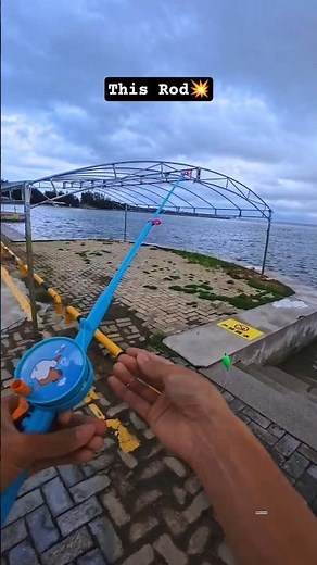 This Way to Catch lot of Unique Fish in River By Mini Fishing Rod #fishing #shortvideo