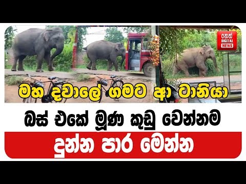 බස් එකේ මූණ කුඩු වෙන්නම දුන්න පාර මෙන්න