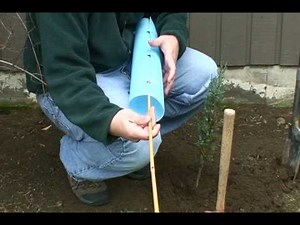 Assembling a Norplex Tree Protector