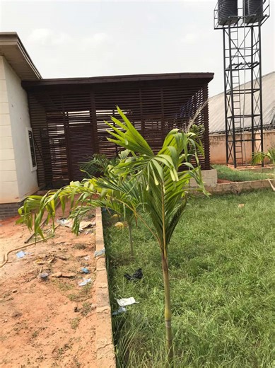 Pergola Price Breakdown: Garden Makeover on a Budget