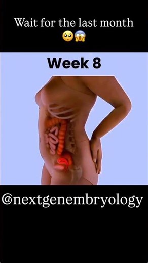 From a Dot to a Whole Human 😭🔥 #pregnancy #babydevelopment #fetusdevelopment #embryology #shorts