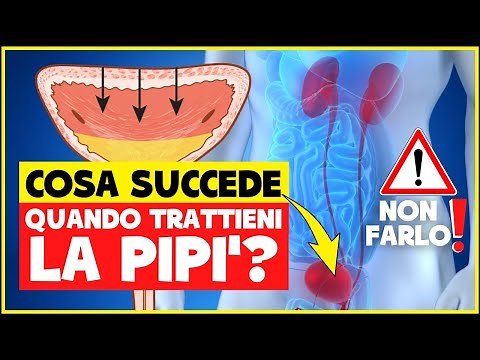 What happens if you hold your pee for a long time? Does it hurt? What are the consequences? - Uri...