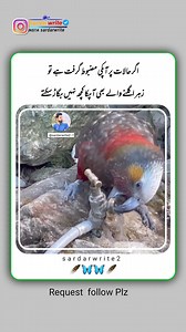 #Sardarwrite #islamabadbeautyofpakistan #Islamabad #islamicrepublicofpakistan #pakistan #beautifuldestinations #ApnaHaLEDiLSialkot #beauty #blogger #bloggersofinstagram #margallahills #mountains #li #dawndotcom #morning #northernareasofpakistan #rain #winter #islamabad #lahore #trending #rain #etribune #potraitphotography #mountainview #lhr #LahoreRang #Lahore #lahorephotographylahore #BestPhotographyChallenge﻿﻿ #moodchallengemoodchallenge﻿﻿ #BestPhotographyChallenge﻿ #moodchallengemoodchallenge