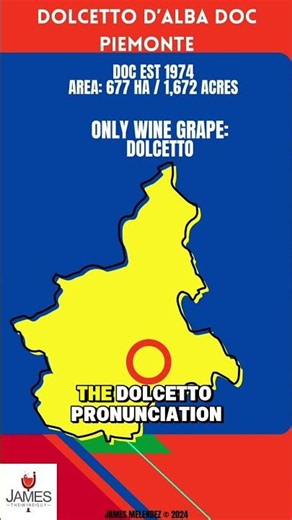 Dolcetto d’Alba DOC in 60 Seconds #italy