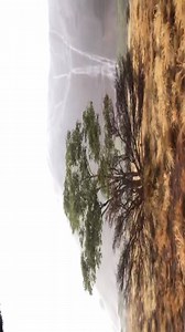 WOW! Rain in the Red Centre means waterfalls at Uluru. Check out this amazing moment yesterday captured by tour guide Gareth Aver.. | ABC Alice Springs