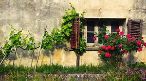 No Going Back - Series 6: Episode 1 | Channel 4