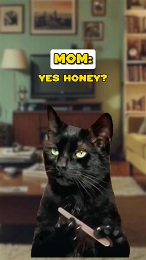 14K views · 257 reactions | Are Angels Flying? (Cat Meme) | Meowriarty | Facebook