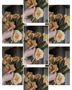 Lift App: AI Photo / Video Editor on Instagram: "Use our templates to create aesthetic Stories, Reels and Post for your Instagram 💖 Collage templates are great to give a fresh look to your content! Share your content created with the Lift app with us by tagging @lift.stories for a chance to be featured on our page! ✨ Credits: @snickargladjen #smmtips #socialmediamarketing #instagramtips #sociaediatips #socialmediamanager #workinsocial #contentcreationtips #instastoryideas #instastorytemplates #