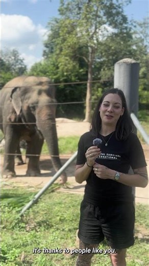 Boon Dee’s new home is coming - thanks to YOU! 🇹🇭🐘