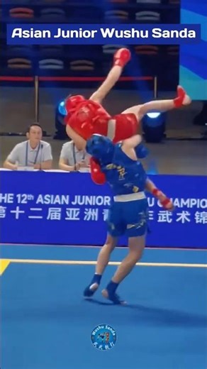Wushu Sanda Amazing Techniques 🔥 | Fast & Powerful Fight Moves