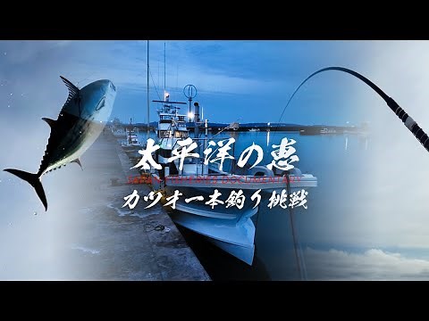 【カツオの一本釣り漁】水中映像あり（和歌山県田辺市） Bonito pole and line fishing