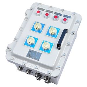 [Hot Item] Exd Iic Explosion Proof and Anti-Corrosion Distribution Box 8 Holes Terminal Box Cabinets