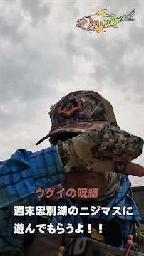 岩尾内湖ウグイの呪縛、忠別湖に癒してもらおう