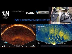 Lowrance Active Target vs Garmin Livescope