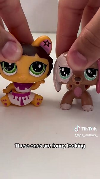 $50 LPS haul from Facebook marketplace that came with LPS #933! 💜🐾 #lps #lpslot #toys #littlestpetshop #lpsbundle #lpscollector #oldlps #lpsg2 #lpsg3 #lpsg1 #haultok #lps933