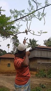 🤣L'entrepreneuriat n'est pas fait pour tout le monde | Azarel Lumière