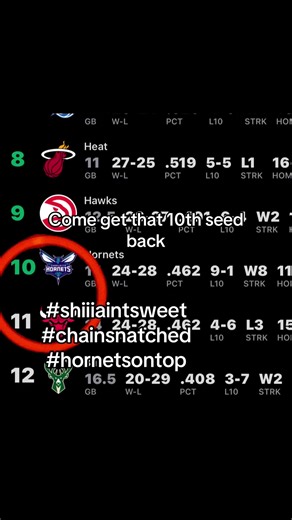 Hornets Aim for 10th Seed Recovery in NBA