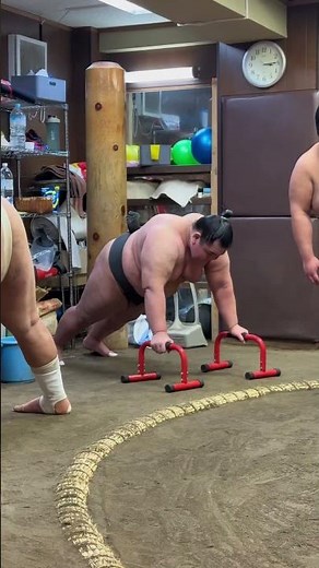 Entrainement de sumo 🇯🇵