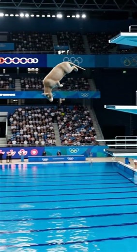 Arsinoitherium Prepares to Dive from Olympic High Platform | A-Z Animals