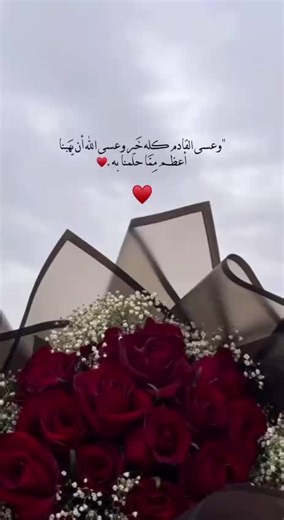 فيديوهات أنشأها جوجو🤍✨ (@g.o123g) باستخدام الصوت الأصلي - جوجو🤍✨