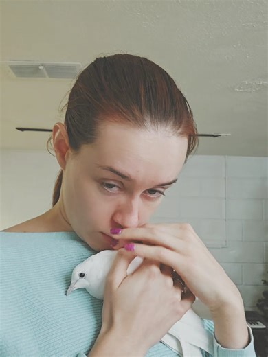 That poor bird! #fyp #overstimulated #grammys