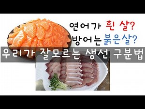 붉은살생선, 흰살생선, 등푸른생선 구분하기 #흰살 #붉은살 #등푸른생선