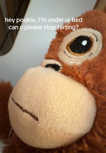 Fun Monkey Antics Under the Bed