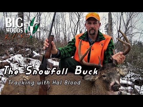 The Snowfall Buck | Tracking with Hal Blood