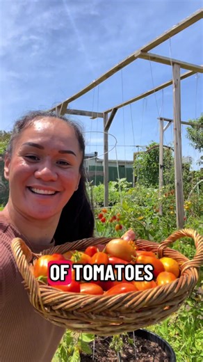 How to Preserve Fresh Tomatoes for Long-Term Use