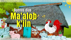 269K views · 3.1K reactions | Ma'alob k'iin es una canción en maya...