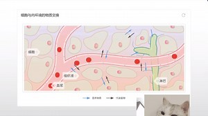 高中生物知识点—细胞与内环境的物质交换